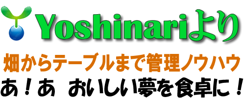 デザインも自由自在にカスタマイズ可能!